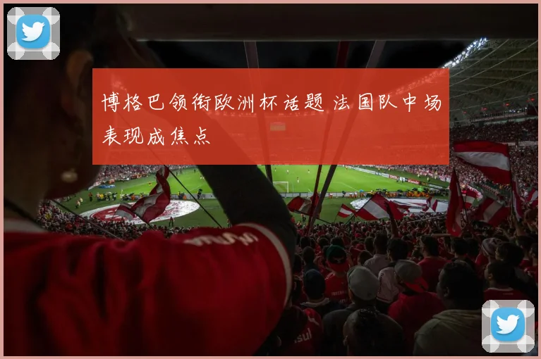 博格巴领衔欧洲杯话题 法国队中场表现成焦点